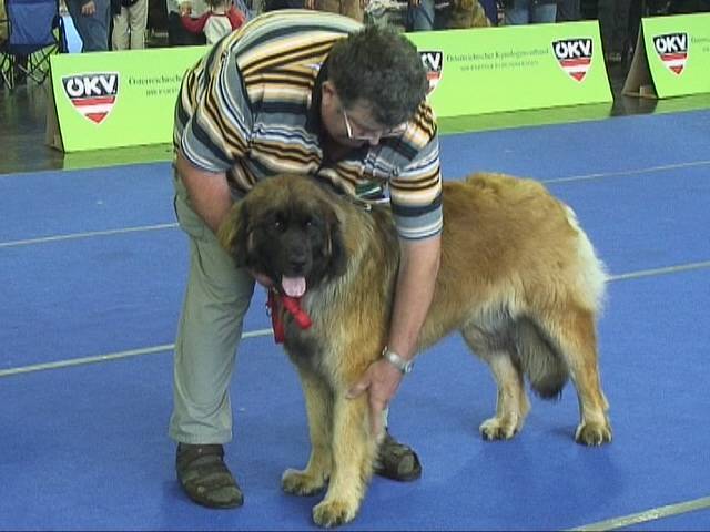 Salzburg Clubschau Mai 06 194 